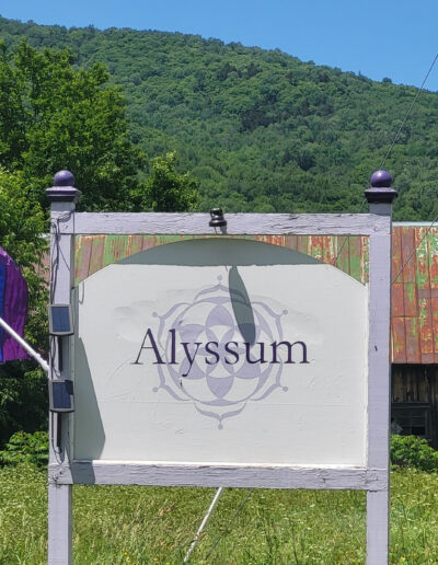 outdoor sign with rainbow flag by driveway