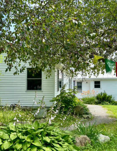 alyssum home with prayer flags in tree