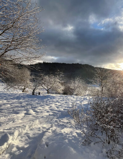 winter horizon with sunburst over the mountain