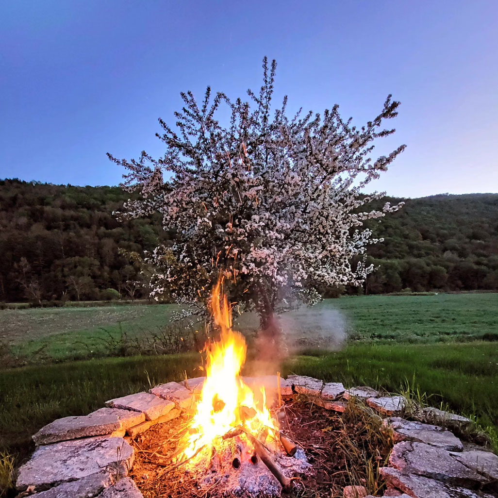 alyssum-firepit fire pit with horizon view at sunset