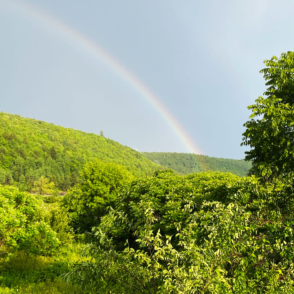 alyssum-rainbow rainbow over mountain on property